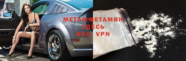 прущие грибы Ладушкин