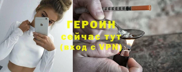 прущие грибы Ладушкин