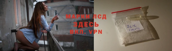 прущие грибы Ладушкин