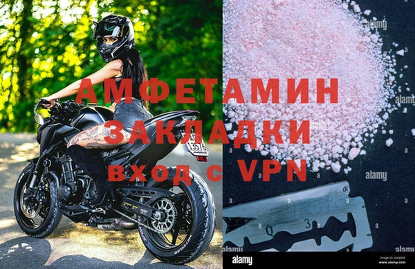 прущие грибы Ладушкин