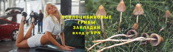 хмурый Лагань