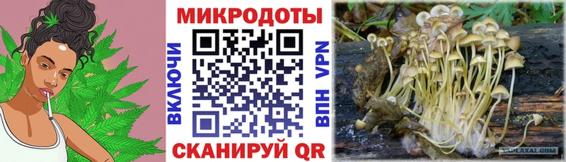 Псилоцибиновые грибы мухоморы  Заполярный 